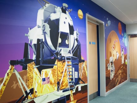Harlyn Primary School vibrant multiple themed corridor wall art
