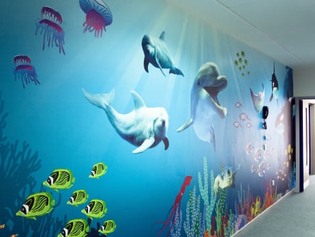 Close up of schools underwater themed corridor wall art