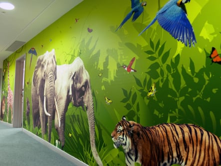primary Schools nature inspired large format corridor wall art