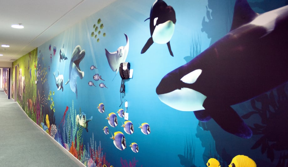 Harlyn School colourful underwater themed corridor wall art