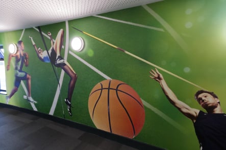 Roebuck Primary Sports themed school corridor wall art
