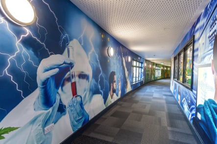 Roebuck Primary Science themed large format corridor wall art