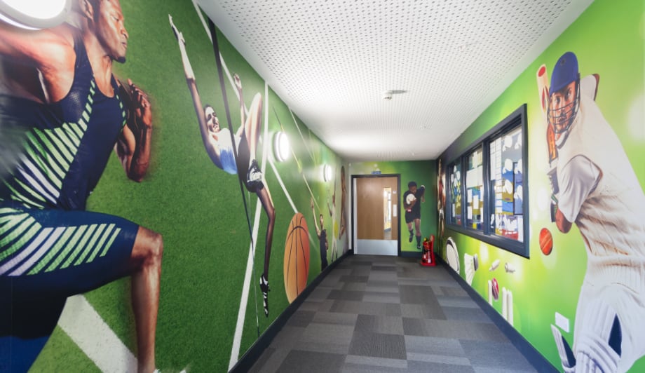 Roebuck Primary School and Nursery sports corridor wall art