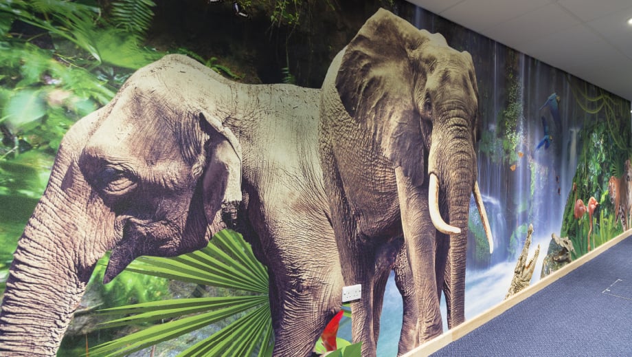 Lee Chapel School bespoke jungle themed immersive corridor wall art