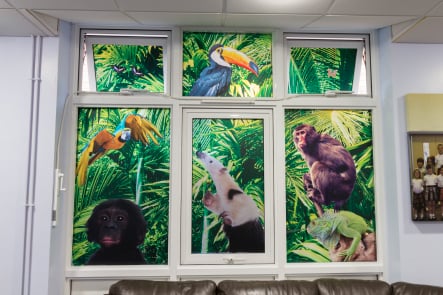 Lee Chapel School jungle themed immersive window wall art