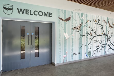 Westbrook Primary nature inspired class name welcome walls