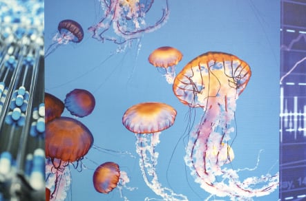 Brampton sixth form science themed walls wall art