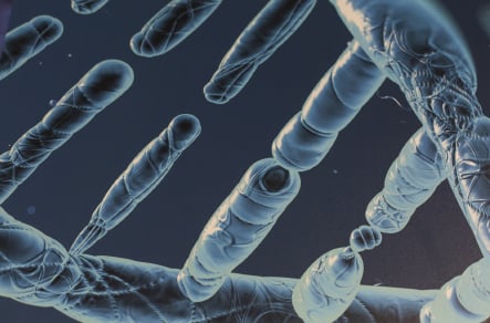 Brampton Academy Science walls themed corridor wall art