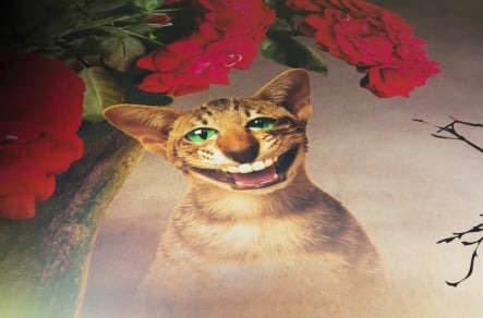 Northumberland Primary School bespoke themed wall art