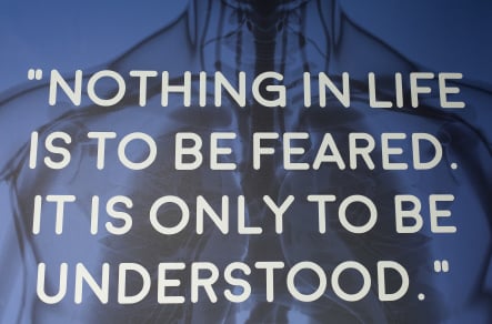 Brampton Academy sixth form custom designed Science walls wall art