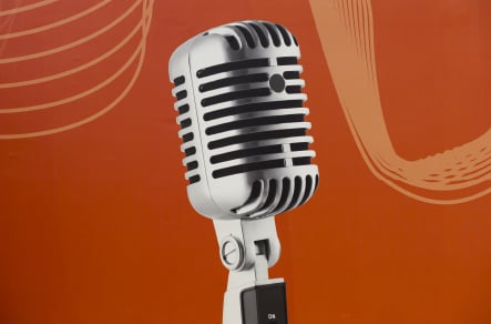 Phoenix Primary School musical themed bespoke hall wrap wall art