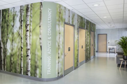 Training & Outreach Centre, London, feature corridor graphic wall art