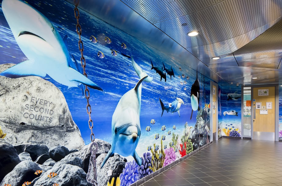 Torquay Academy Devon underwater themed bespoke corridor wall art