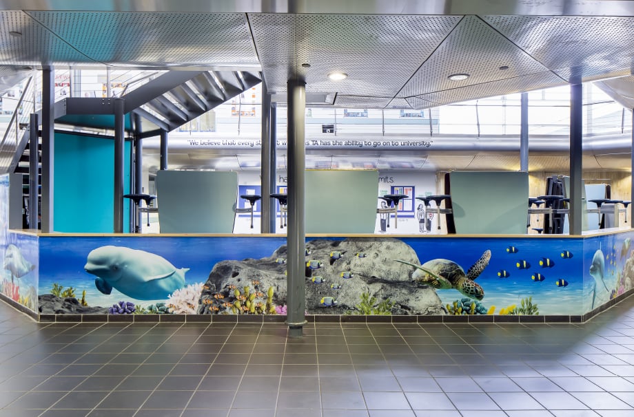 Torquay Academy underwater theme reception bespoke wall art
