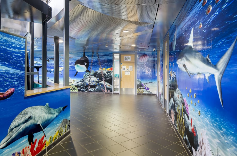 Torquay Academy aquatic themed large format immersive wall art