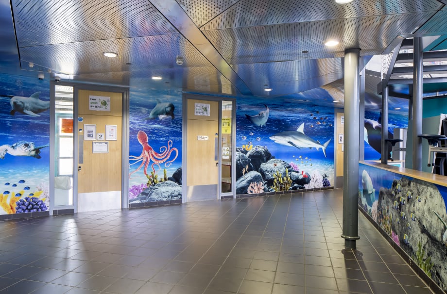 Devon Torquay Academy underwater theme bespoke installation wall art
