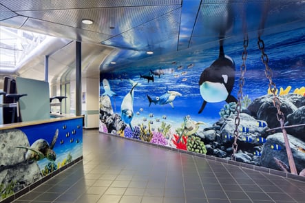 Torquay Academy aquarium theme immersive corridor wall art