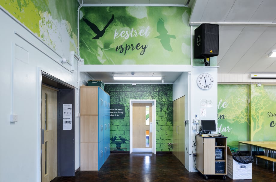 Croton Anne Dale Nature inspired bespoke theme classroom wall art