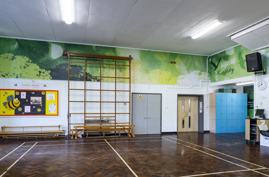 Crofton Anne Dale bespoke theme school hall wall art