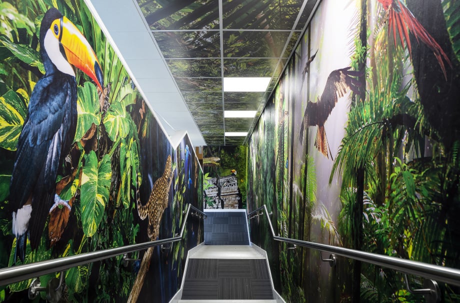 Frederick Bird Primary School rainforest theme stairway wall art