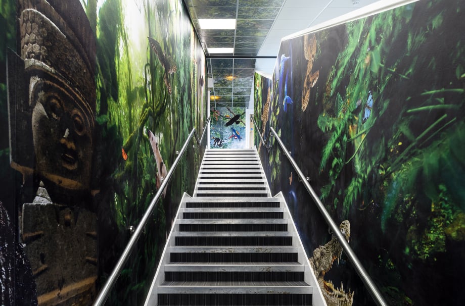 Primary School Rainforest themed stairwell installation immersive wall art
