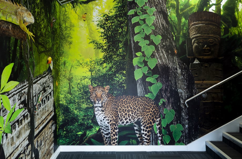 Frederick Bird Primary School bespoke graphic design wall art