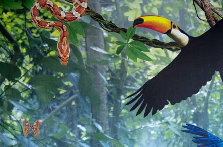 Coventry Primary School bespoke large format stairway wall art