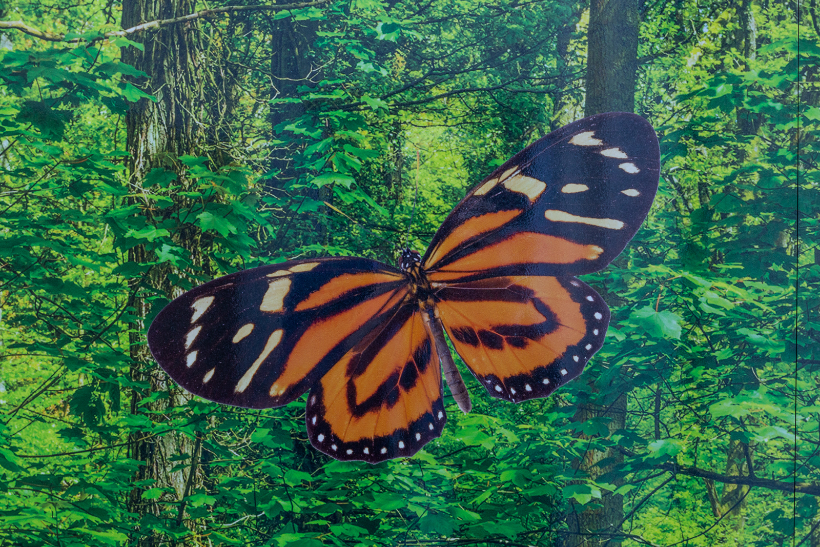 Butterfly bespoke outdoor nursery wall art