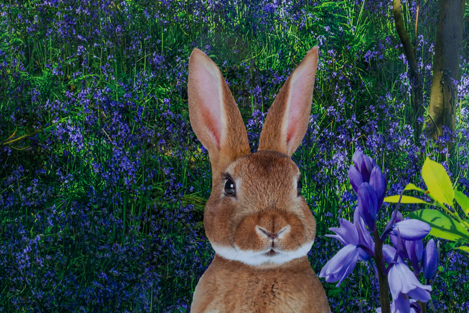 One world nursery woodland wall art