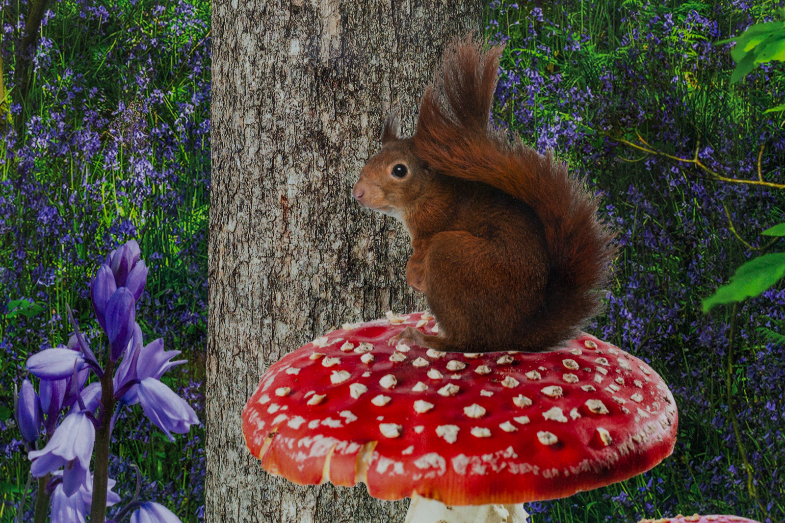 Bespoke wall art graphic close up