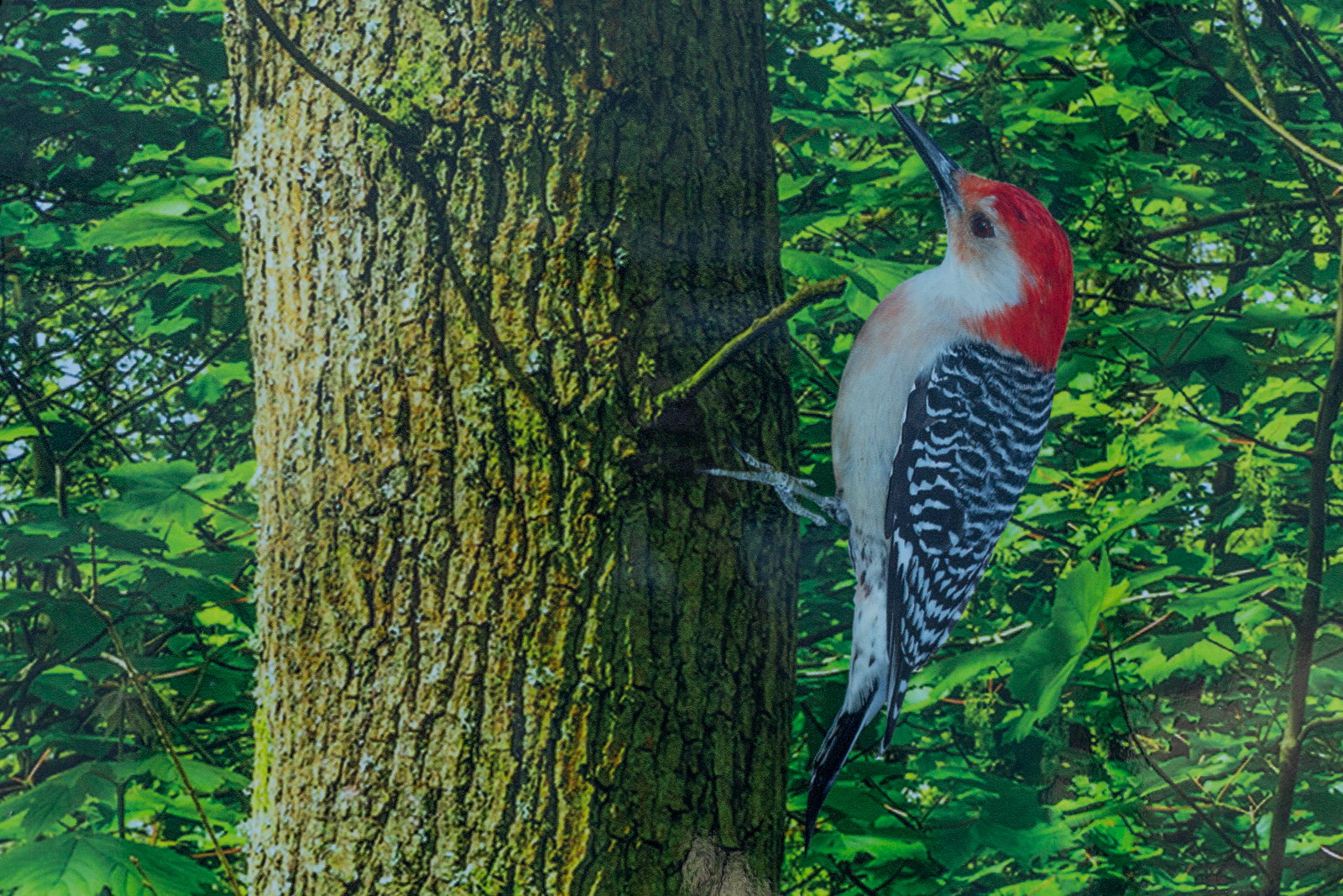 One World Nursery case study image wall art