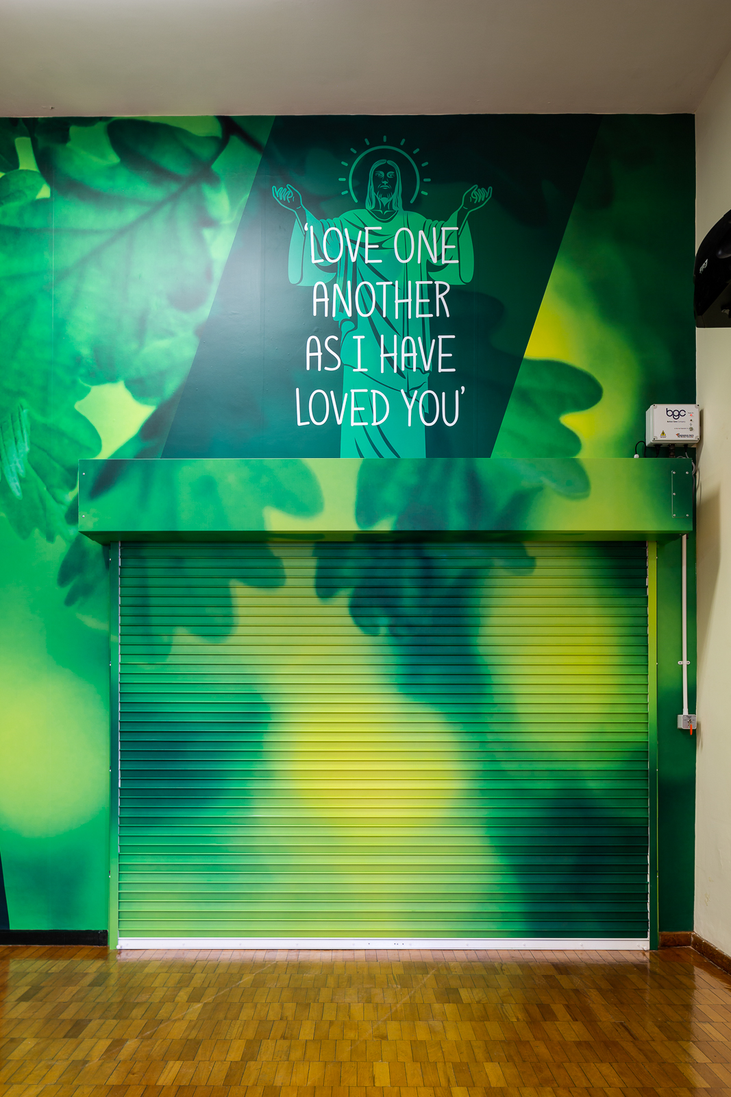 Vibrant wall art image from recent school wall art installation