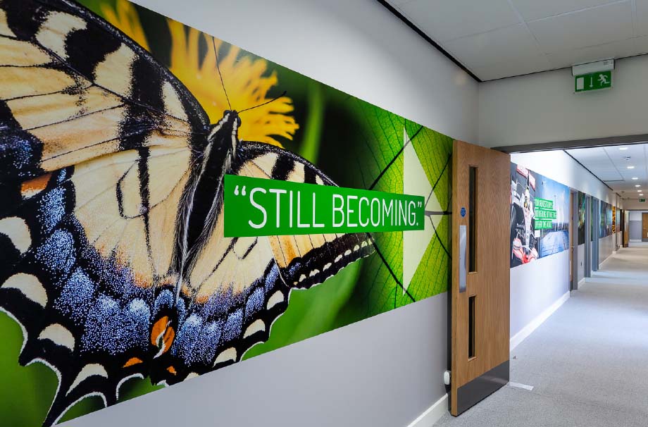 Chertsey wall art for secondary schools phased school subject zones