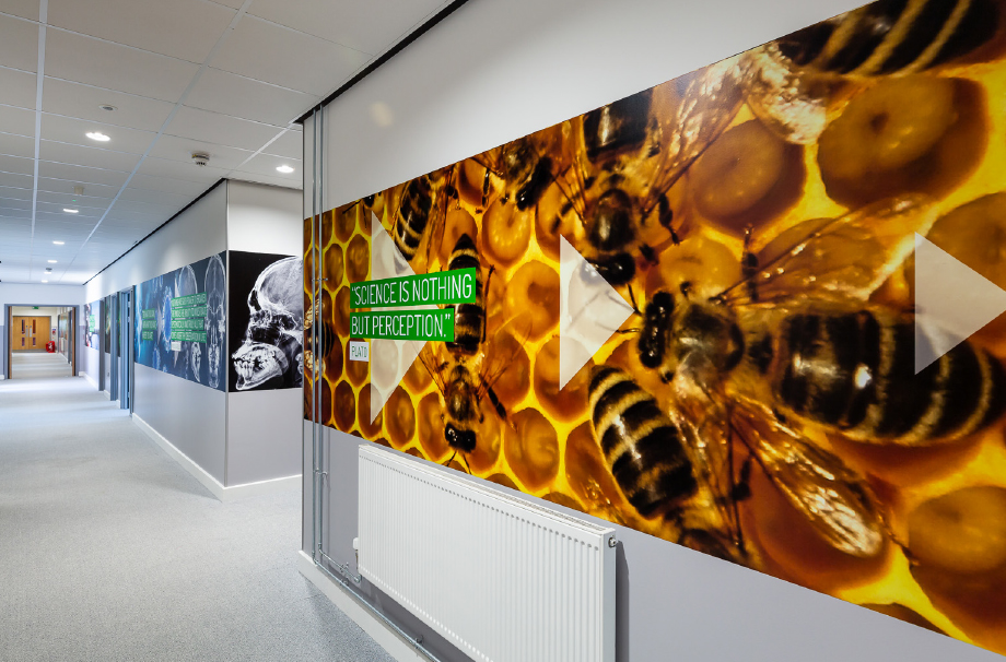 Chertsey wall art for secondary schools
