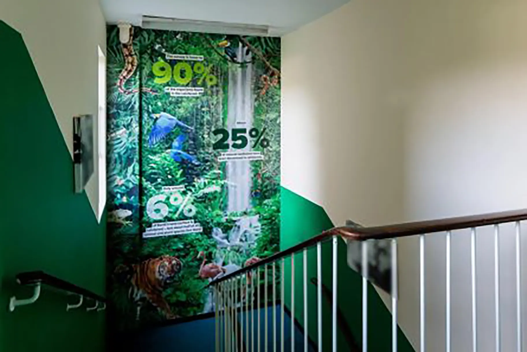 The Willows rainforest wall art