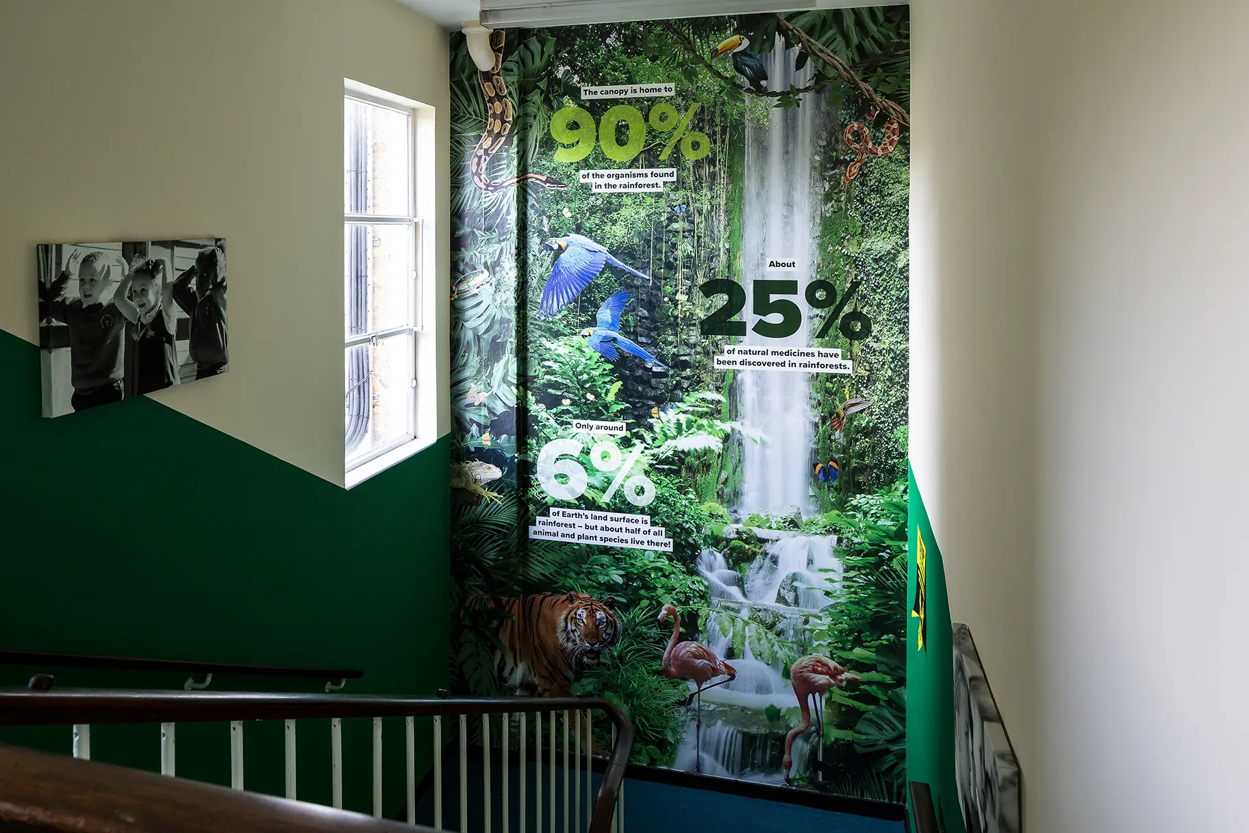 The Willows rainforest wall art