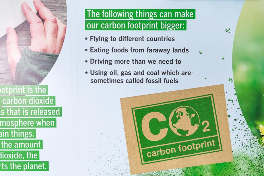 Brentfield Humanities school wall art