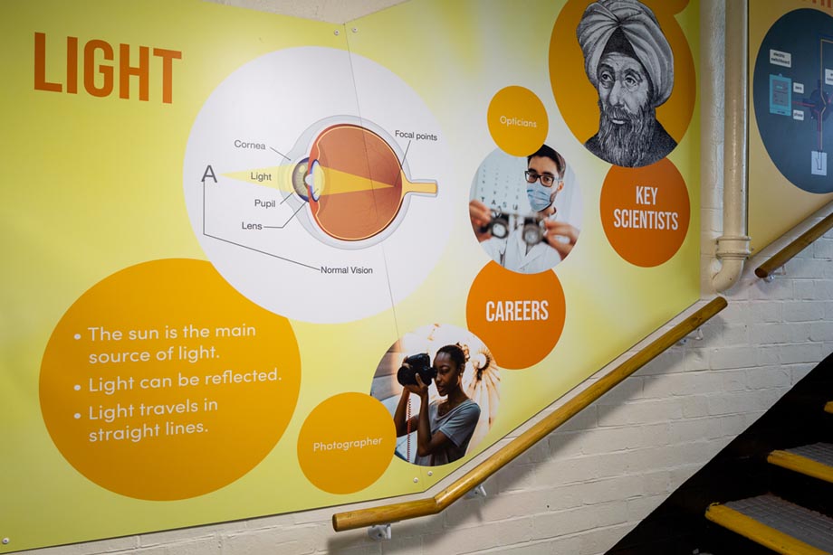 Central Park Primary Science wall art