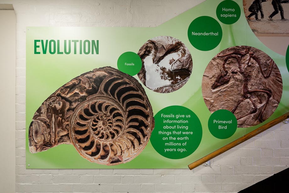 Central Park Primary Science wall art