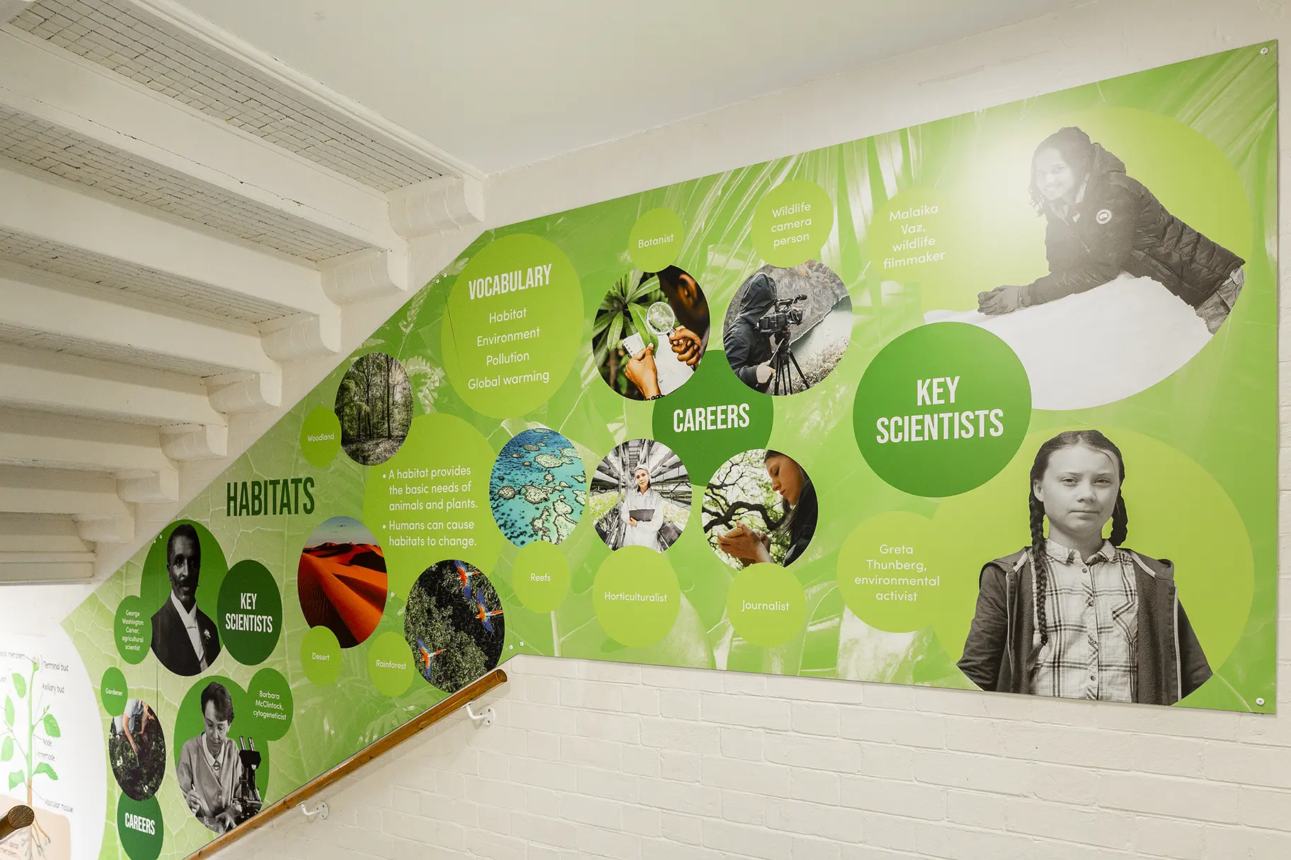 Central Park Primary Science wall art