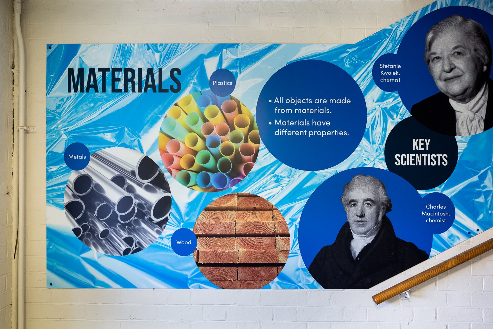 Central Park Primary Science wall art