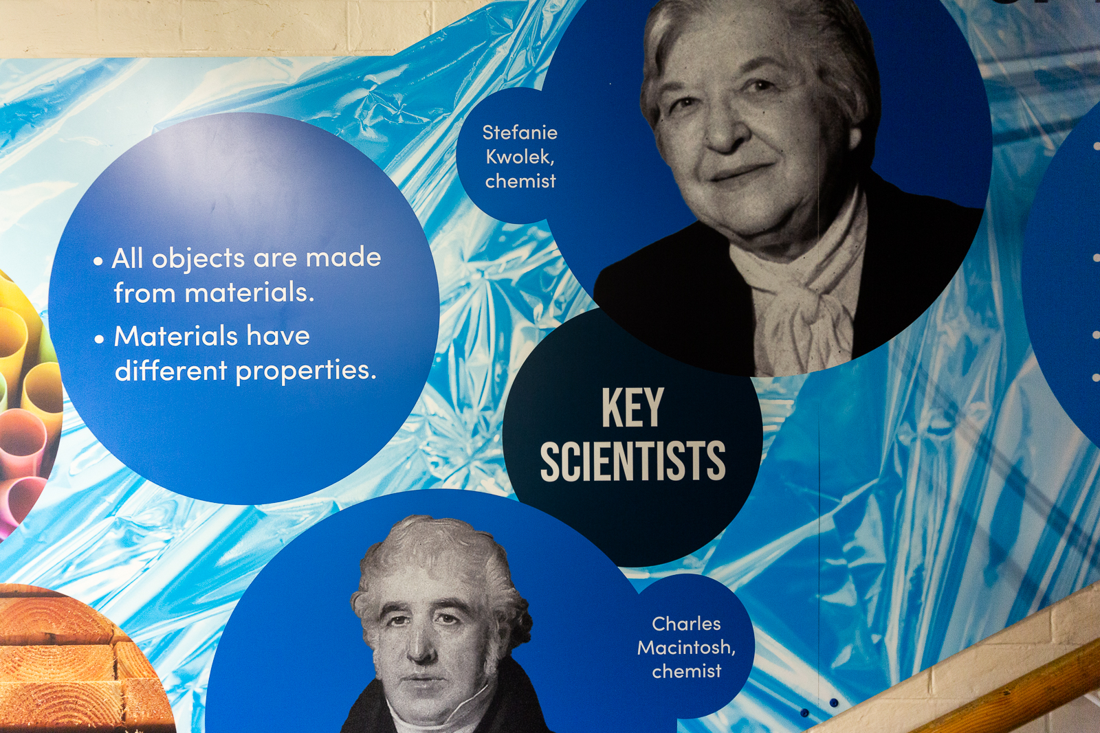 Central Park Primary Science wall art