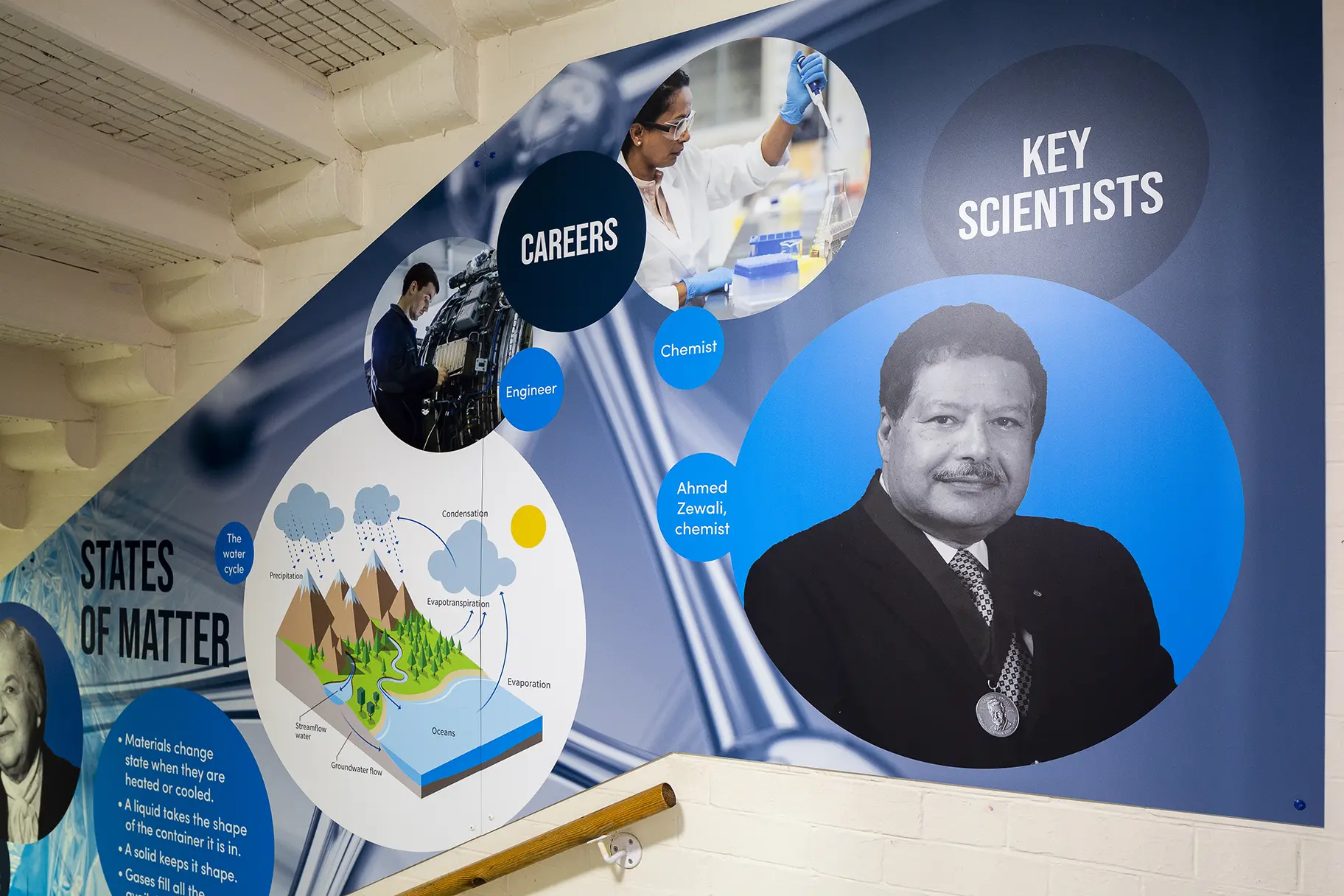 Central Park Primary Science wall art