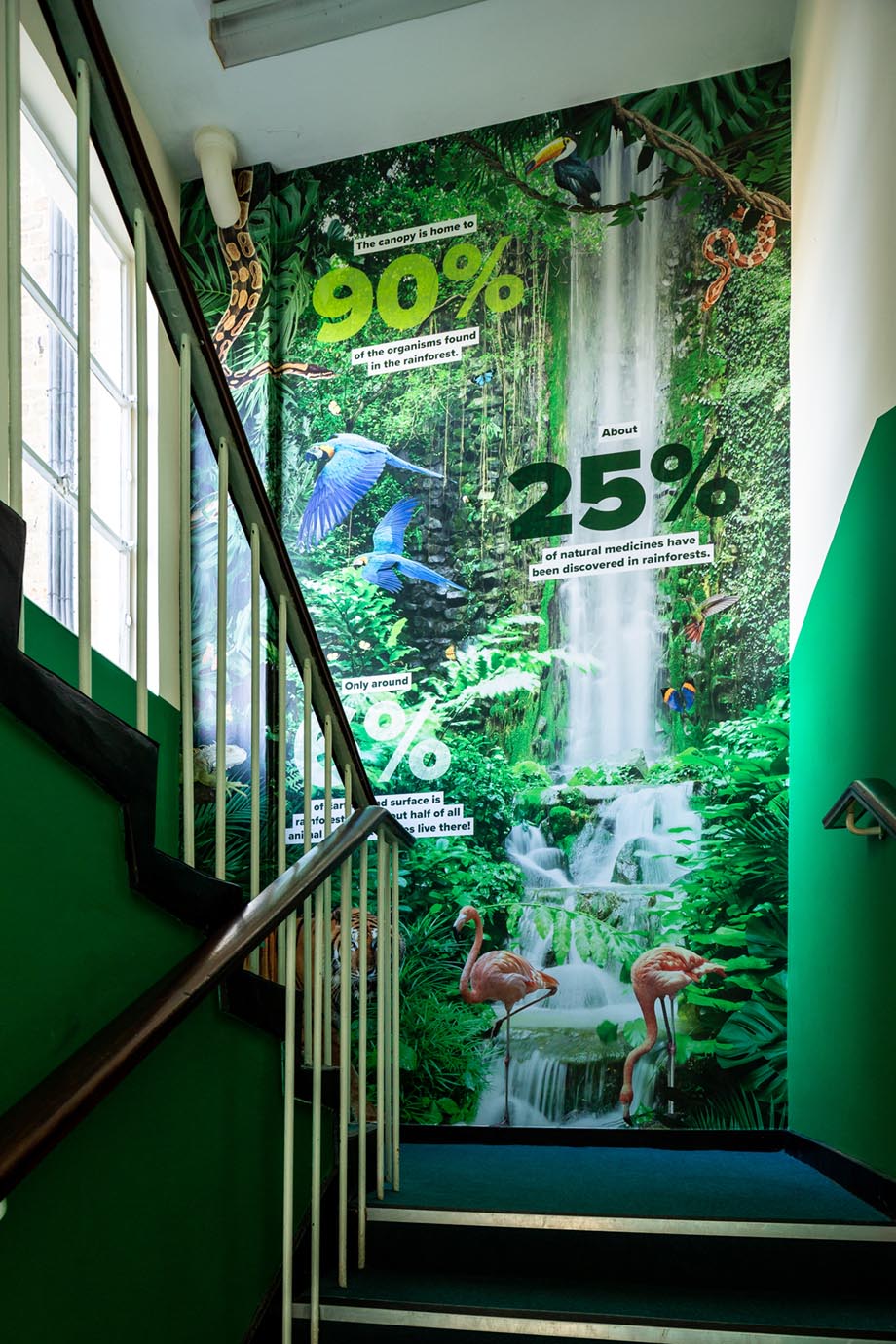 the willows rainforest wall art