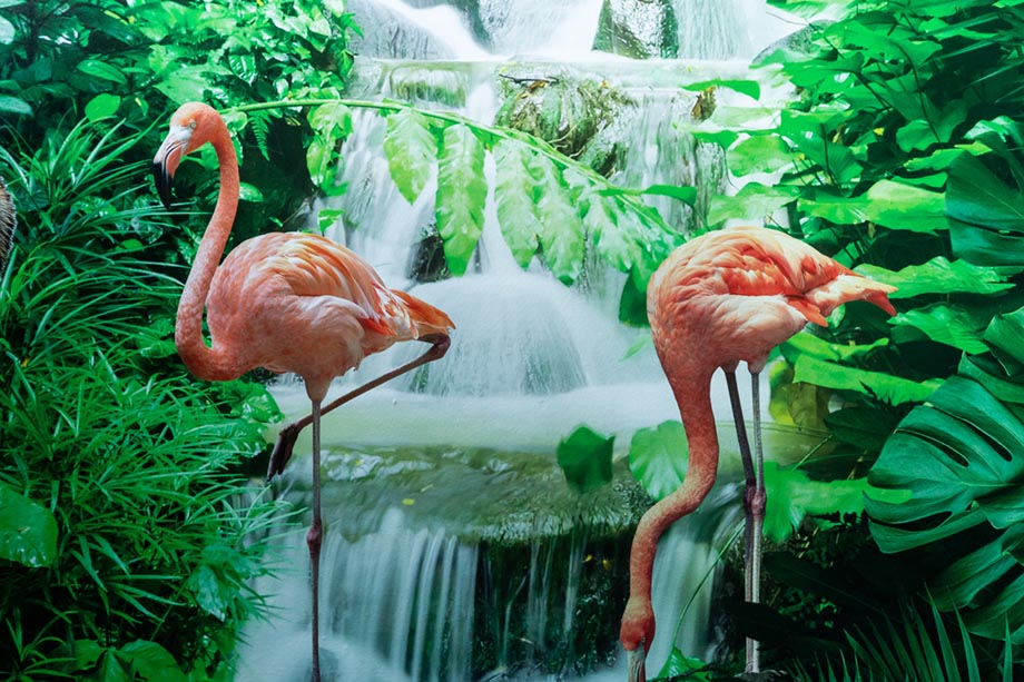 the willows rainforest wall art