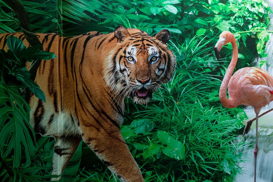 the willows rainforest wall art