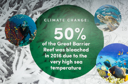 PYS Cardinal Wiseman Humanities Wall Art