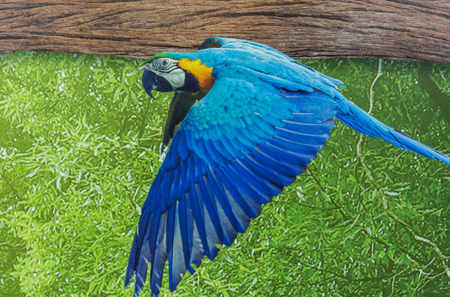 Lee Chapel Rainforest Cafe