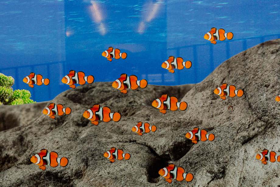 Great Totham Outdoor School Wall Art