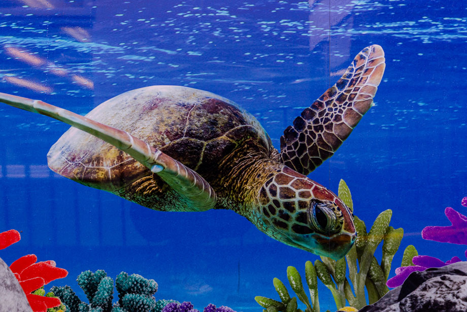 Great Totham Outdoor School Wall Art